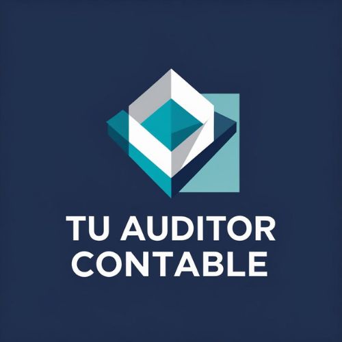 Tu Auditor Contable